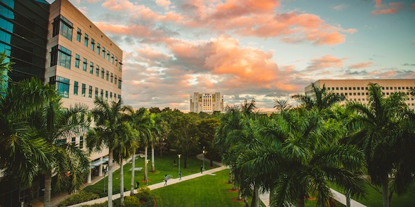 The green trees are featured prominently next to the Green Library at FIU. 